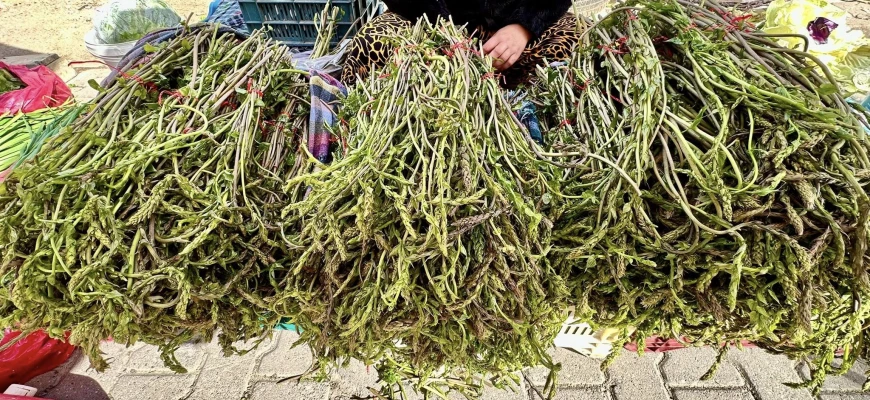 HAVRAN PAZARI’NIN DOĞAL  ÜRÜNLERİ GÖZ KAMAŞTIRIYOR